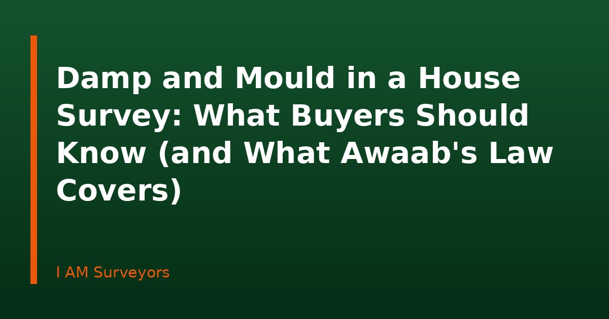 Damp and Mould in a House Survey: What Buyers Should Know (and What Awaab's Law Covers)