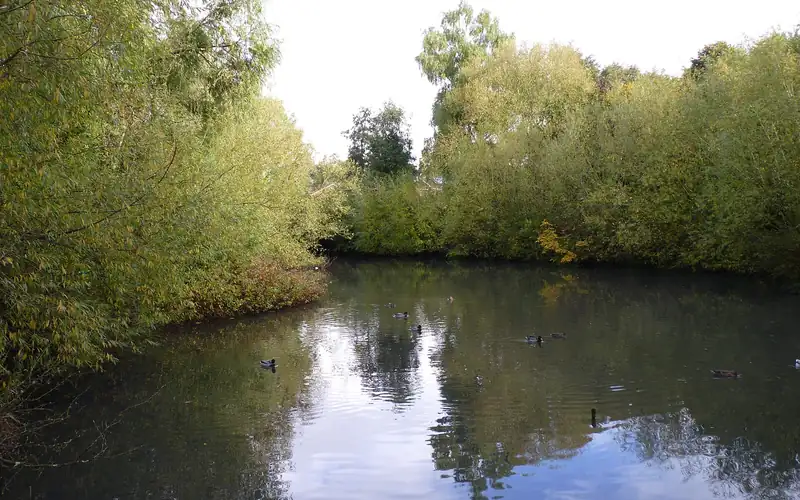 Surveyors in Droitwich Spa